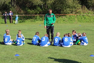 乐鱼(中国)体育官方网站-乌鸦防线表现完美,对手几乎无解,乌鸦攻击什么