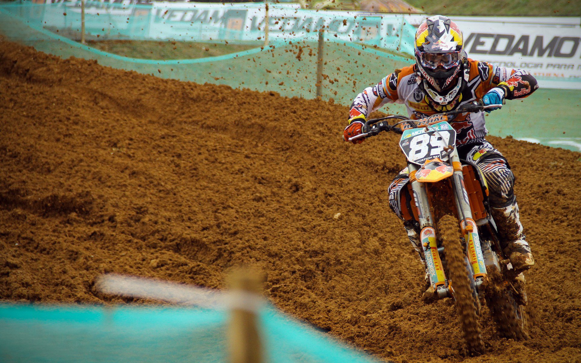 乐鱼中国-体育新闻中心推动青少年体育内容创新传播机制，学生体育新闻